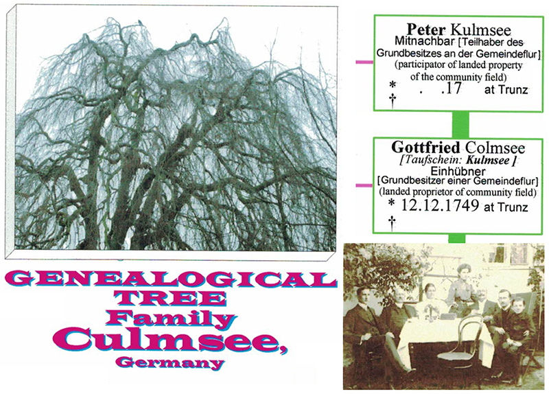 genealogical tree Peter Kulmsee born 17__ (cut)